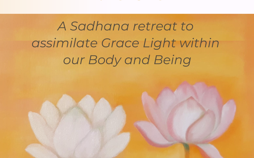 RETREAT To Make Thy Inner Light Visible (30th Jan to 2nd Feb 2025) – Summary Notes and Photos