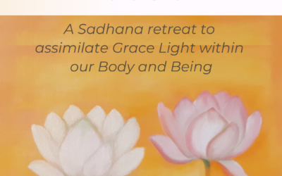 RETREAT To Make Thy Inner Light Visible (30th Jan to 2nd Feb 2025) – Summary Notes and Photos
