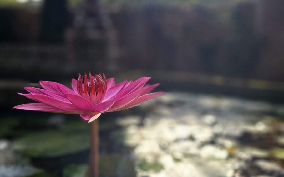 RETREAT To Make Thy Inner Light Visible April 2025