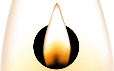 Grace Light -Vallalar 1