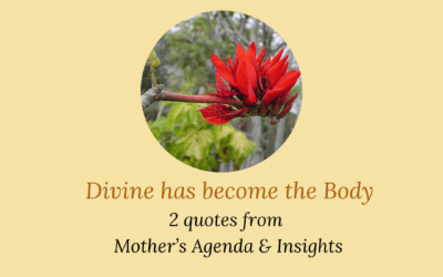Divine has become the body