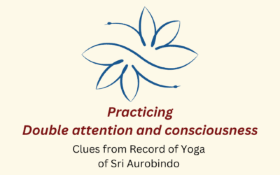 Double attention and consciousness
