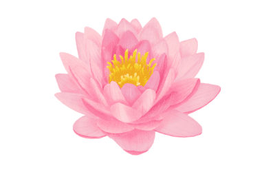 Thousand Petals of the Lotus – Kabir, Rabindranath Tagore