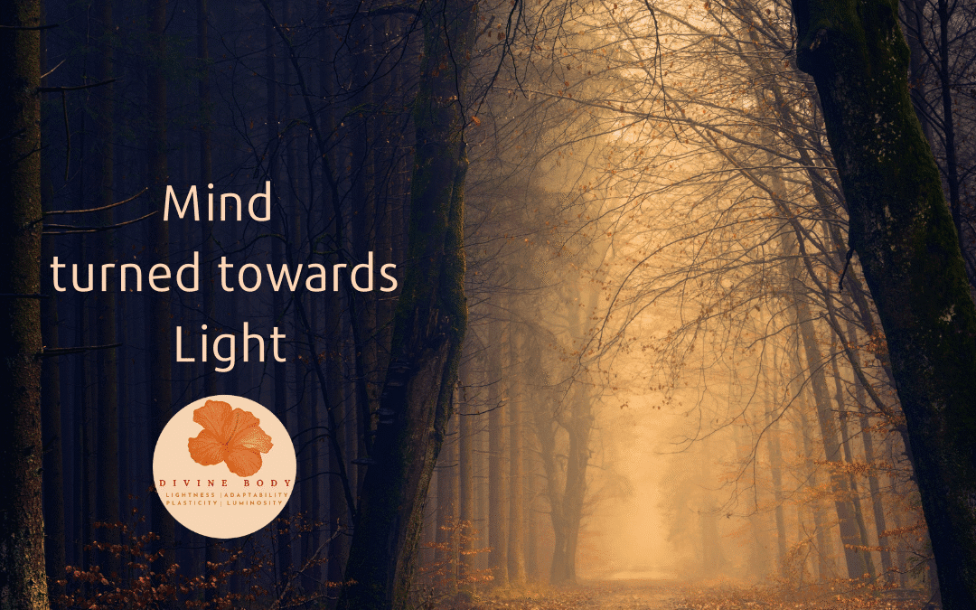 Mind Turned Towards Light – Online Workshop