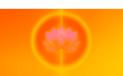 From Purification to Radiance – Deeper body work with the cells – Online workshop